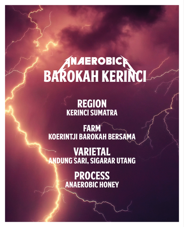 Anaerobica - Indonesia - Kerinci Anaerobic Honey